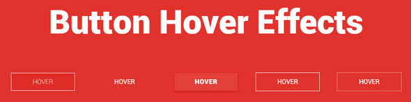 Button Hover Effects