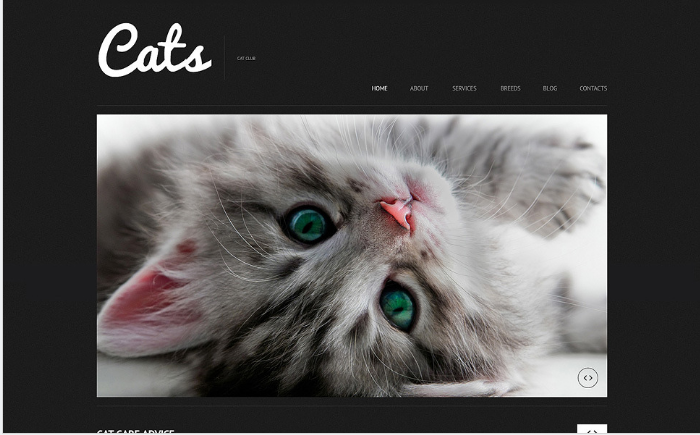 Cat: Pet Animal WordPress Themes