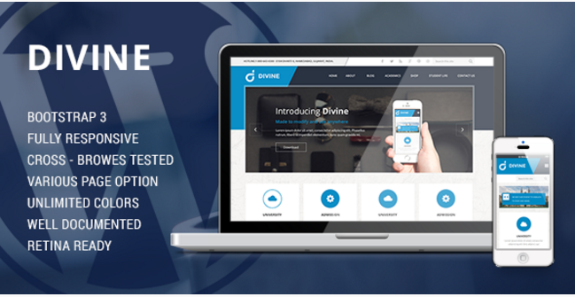 Divine - Professional Business Drupal Theme