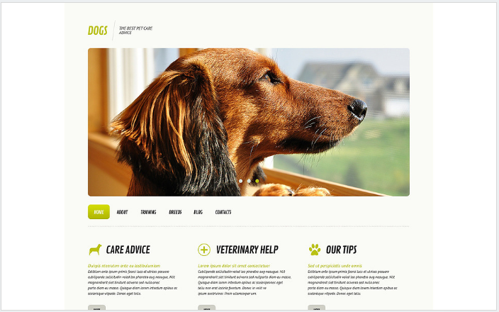 Pet Animal Wordpress Themes