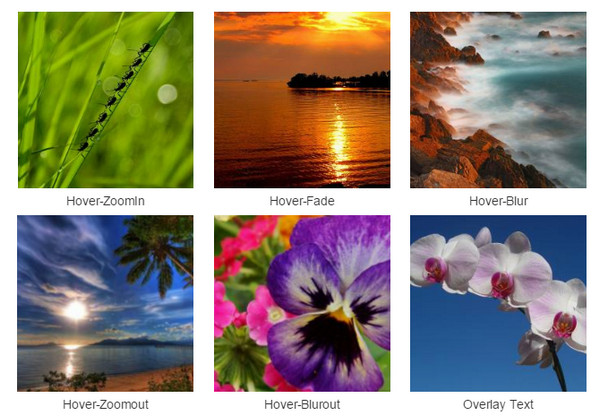 Hover Effect CSS3 for Bootstrap Gallery