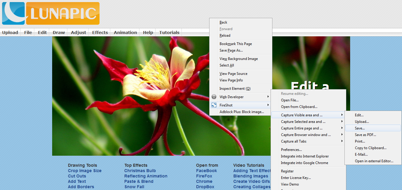 Best Online Free Photo Editing Websites And Tools