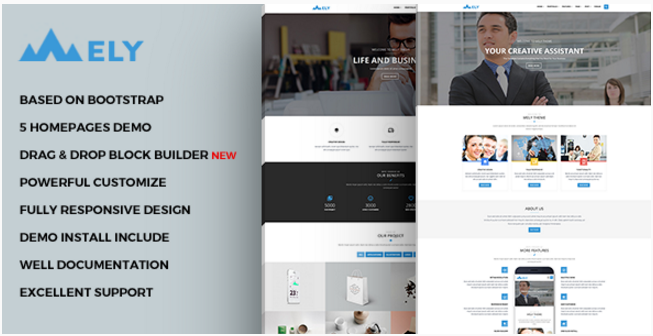 Mely - Responsive Business Drupal Theme