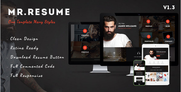 Mr.Resume - One Page Resume Personal PSD Template