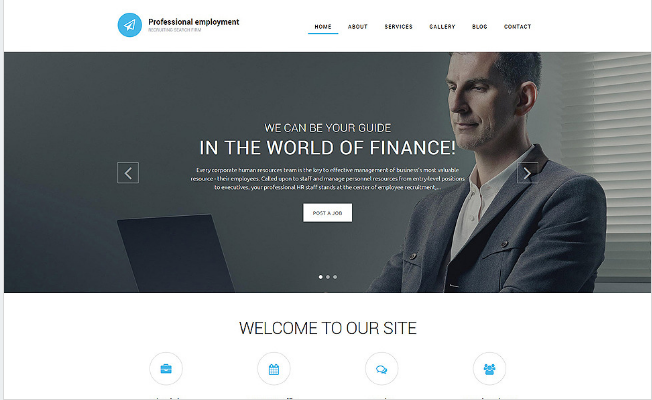 PROFESSIONAL: Drupal Portfolio Themes