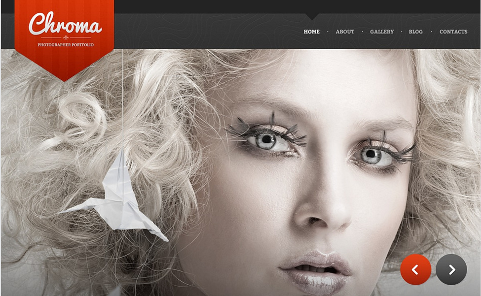 Photographer Page Drupal Template