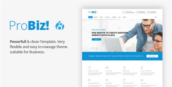 ProBiz! - Multipurpose Business Drupal 8 Theme