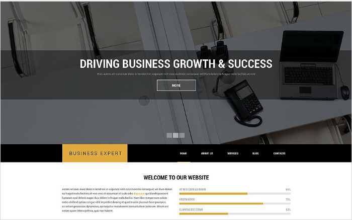 Professional Business Advice Drupal Template