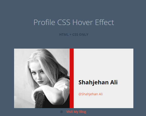 Profile CSS3 Hover Effect