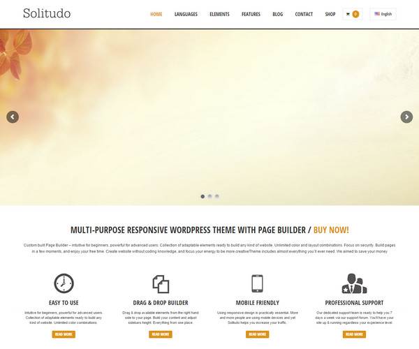 SOLITUDO: Best Drag And Drop WordPress Themes