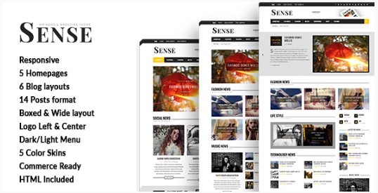 Sense - Blog Magazine & News Theme