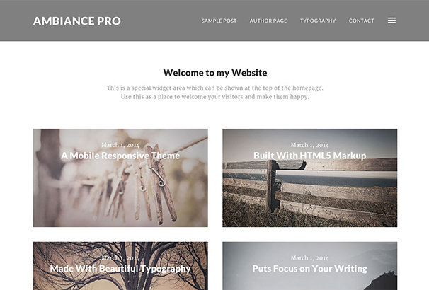 ambiance-pro-theme