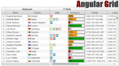 angular-grid