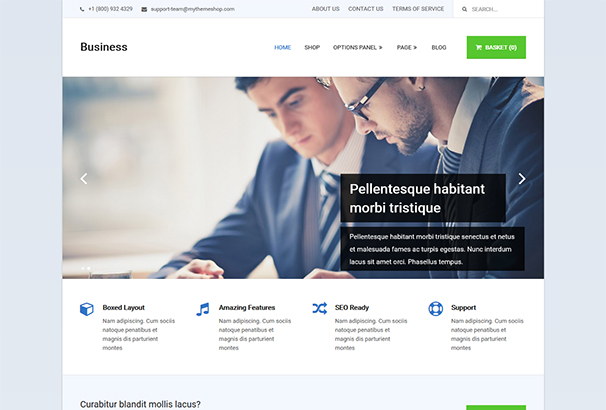 Business: Accountant WordPress Themes