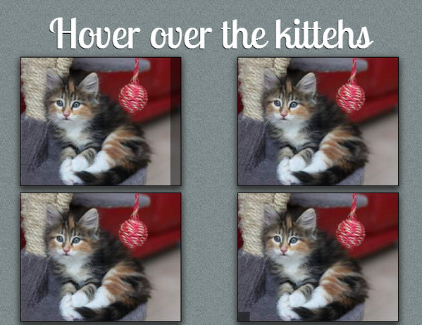 hover-over-the-kitches