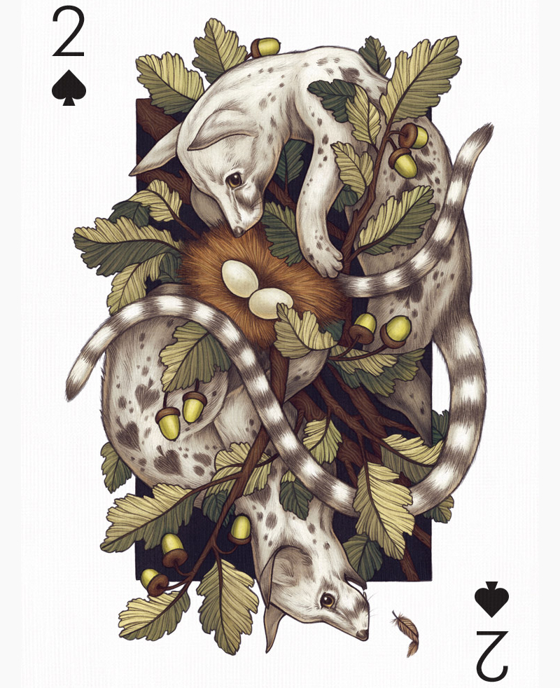 Animals-Playing-Card-Design