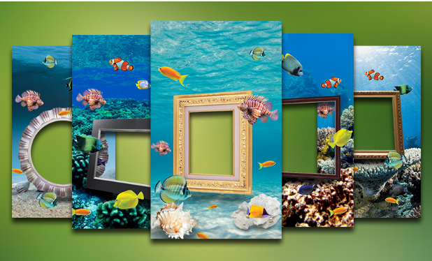  Aquarium Photo Frames: Best Free Photography Android App