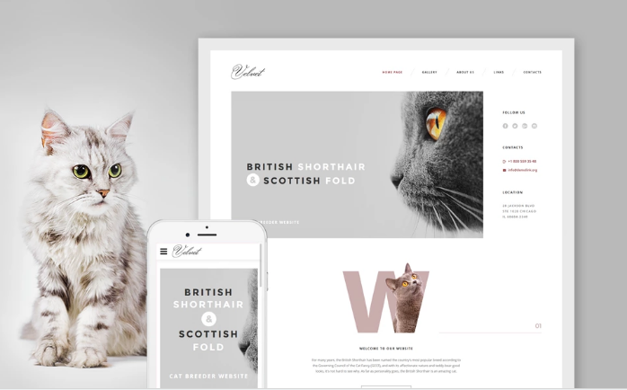 Cat Responsive Website Template