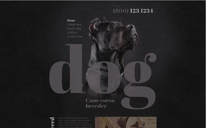 Dog Breeder Website Template