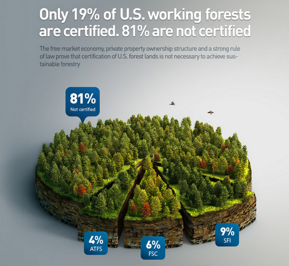 Forest-infographics