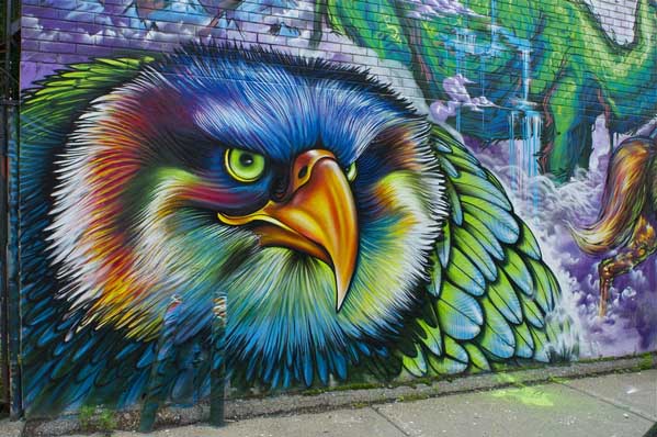 Graffiti-Bird-Eagle