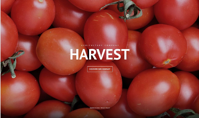 Harvest PSD Template