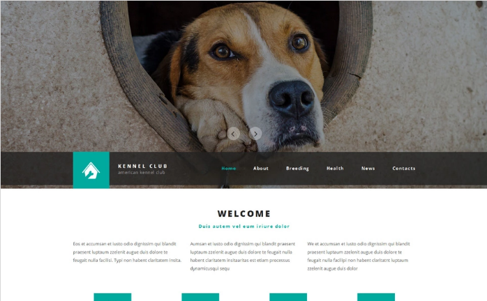 pet club website