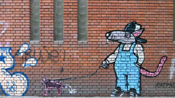 Mister Cat: Best Creative Graffiti Artworks