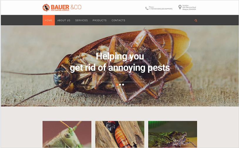 Pest Control Responsive Website Template