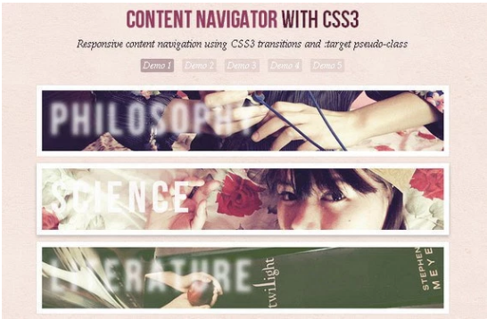 Content Navigator: Inspiring CSS Animation And Effects