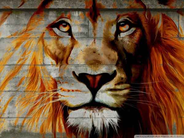 Lion Art: Best Creative Graffiti Artworks