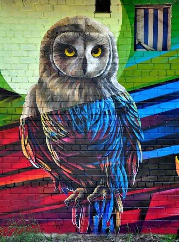 Owl Graffiti Work