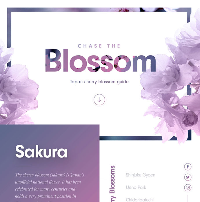Cherry Blossom Landing Page