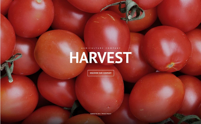 Agriculture Company WordPress Theme