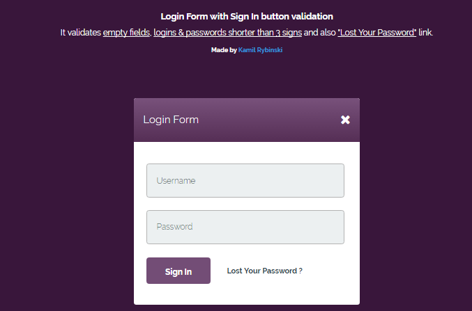 Beautiful CSS Login Form