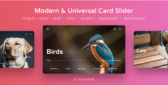 Best CSS3 Slider Plugins in 2020 for Web Designer | Wpshopmart