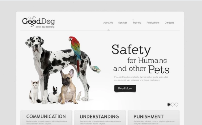 Best Pet Animals PSD Design Templates