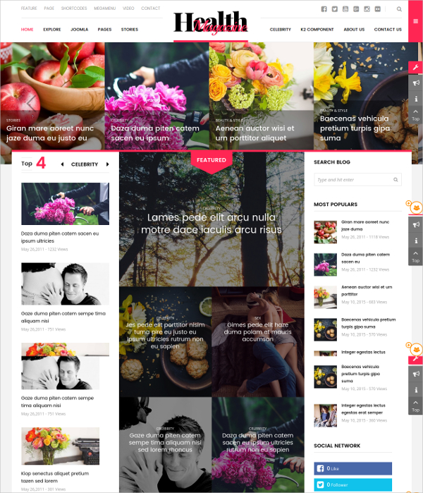 HealthMag Magazine Joomla Template