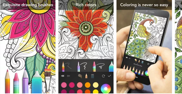 Garden Coloring Book