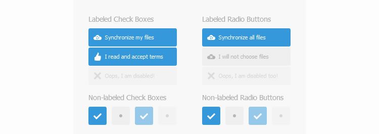 Labelauty: jQuery Plugins For Frontend Development