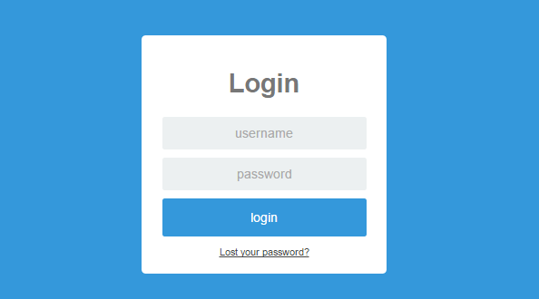 Login Form