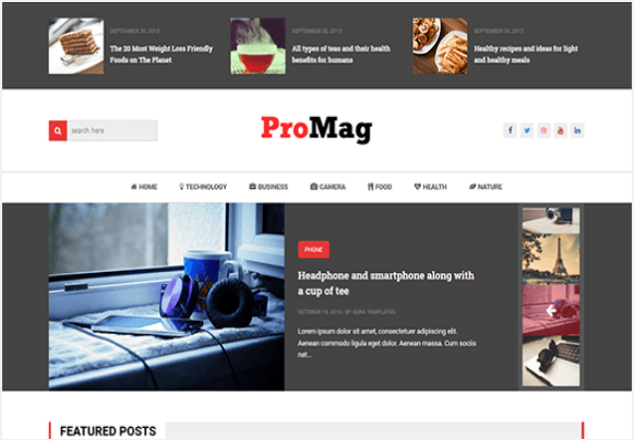 ProMag