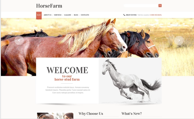 Promotion of Horse Farms WordPress Theme