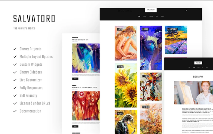 Salvatoro: Responsive WordPress Themes