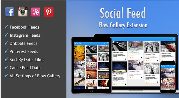 Social Feed - Flow Gallery Exension