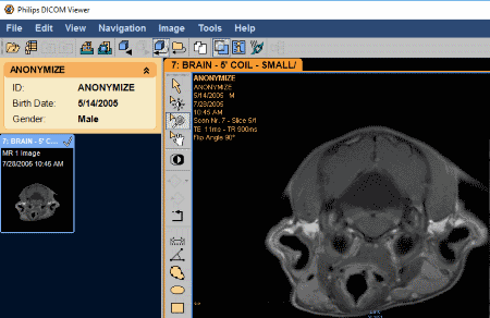 Sante DICOM Editor 8.2.5 instal the new version for windows