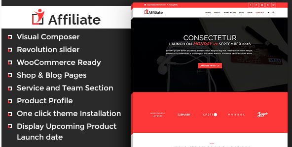 Affiliate Wordpress Themes