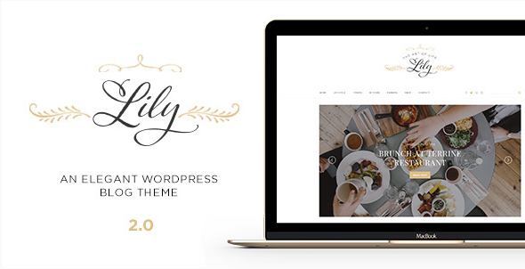 Lily: Fast Loading WordPress Themes