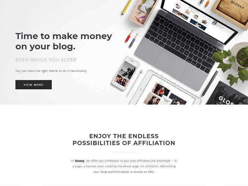 Glossy: Affiliate WordPress Themes