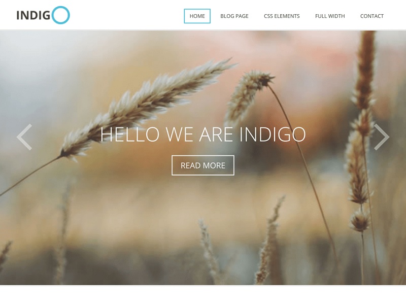 Indigo Lite Free Environmental WordPress Themes